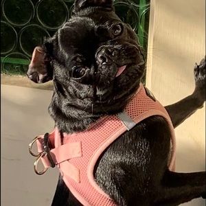 Meet your Posher, Kim